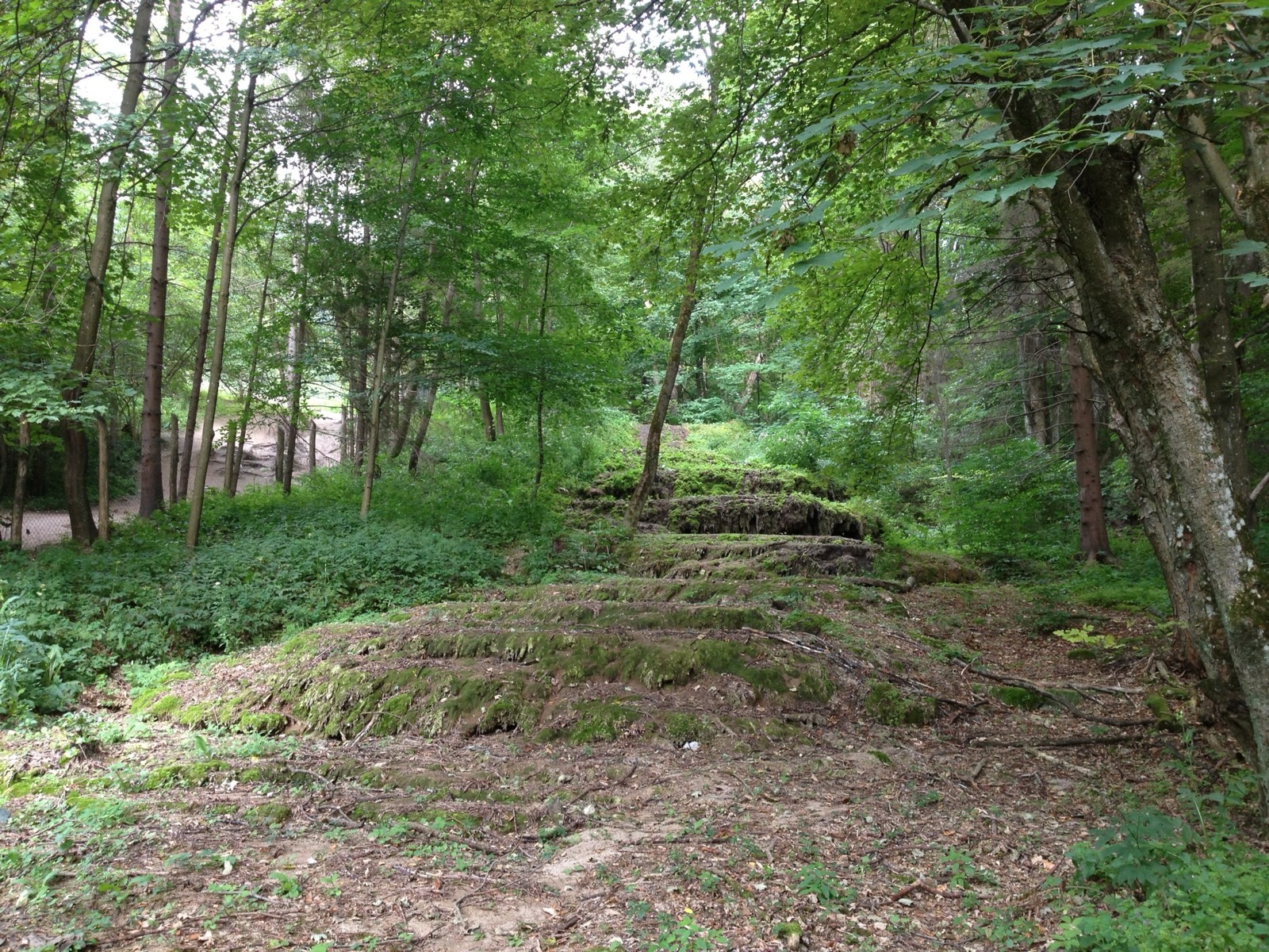 Szalajka-völgy