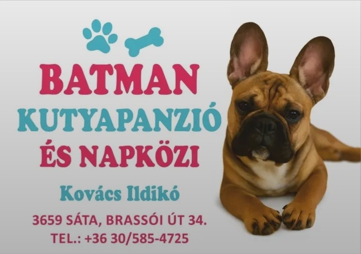 Kisállat